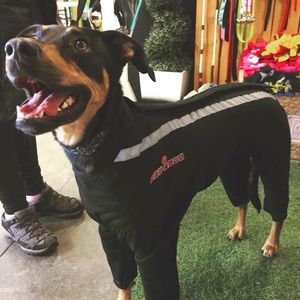 Polar Fleece Suit for Dog